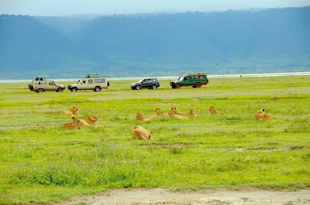 Tarangire National Park - 4