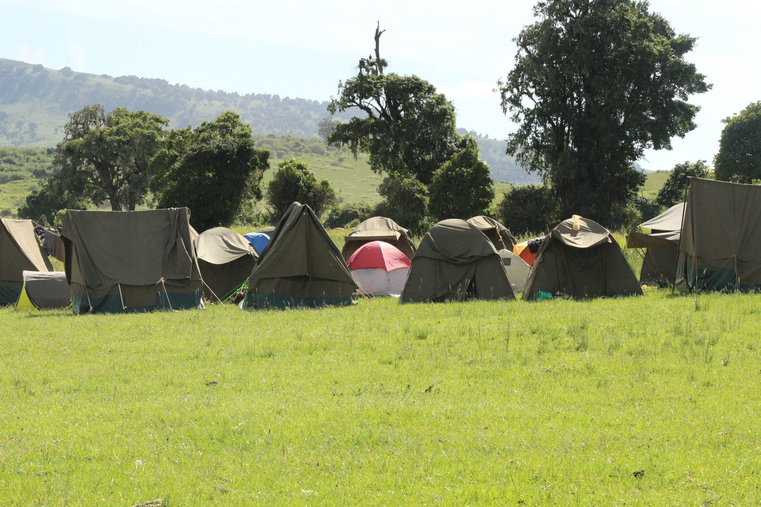 Safari accommodation interior