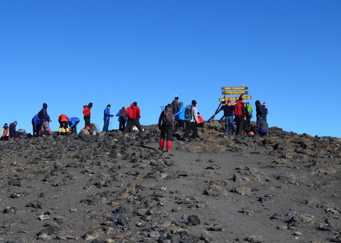 Conquer the Roof of Africa: Your Complete Kilimanjaro Climbing Guide 1