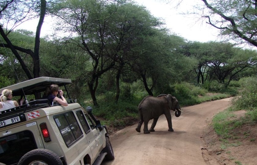 Lake Manyara National Park - 2