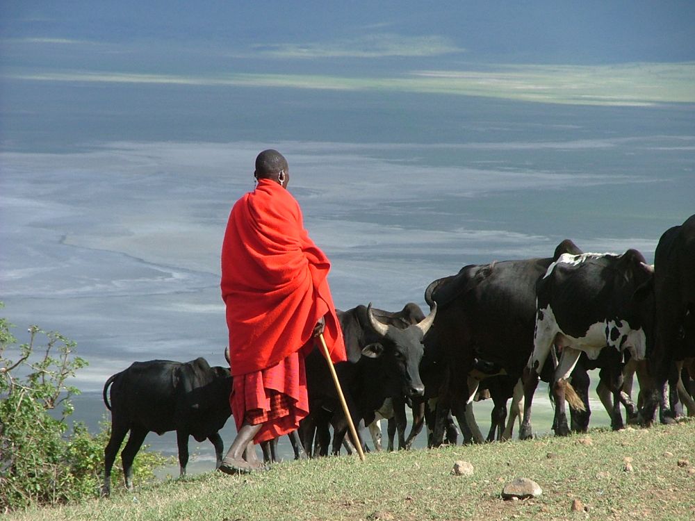 Maasai warriors