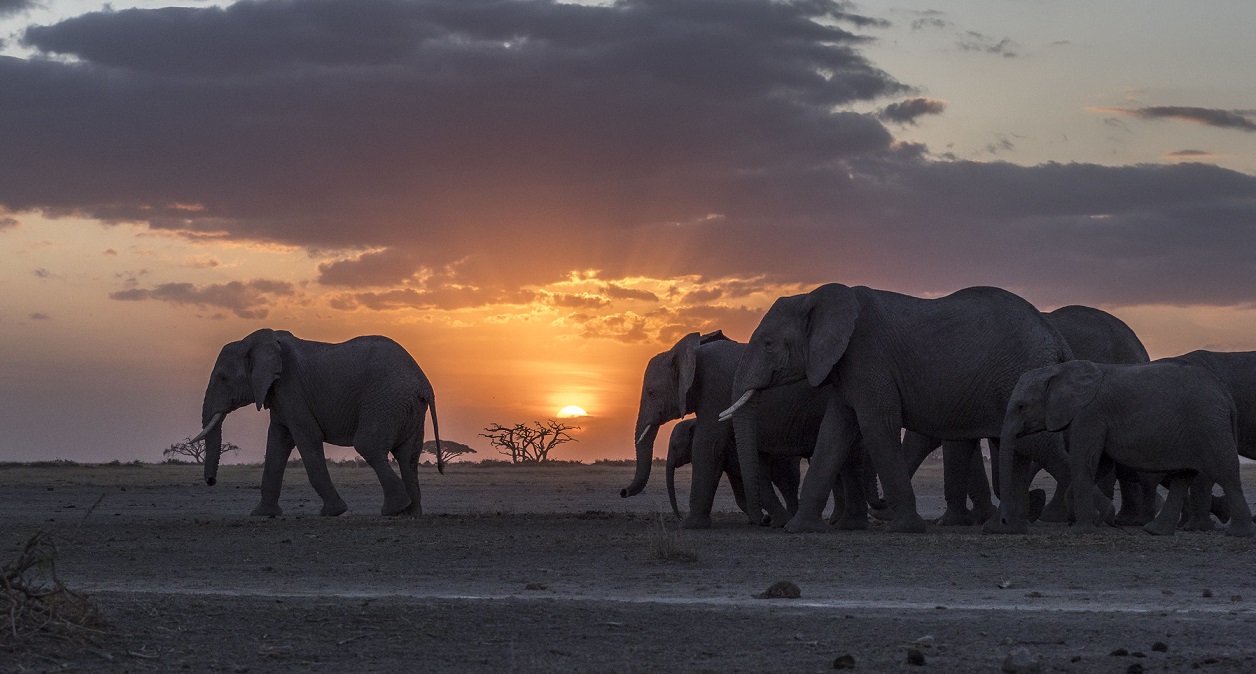 Tarangire National Park - 3