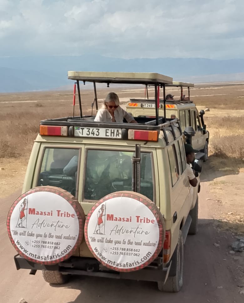Our safari vehicle out in the park