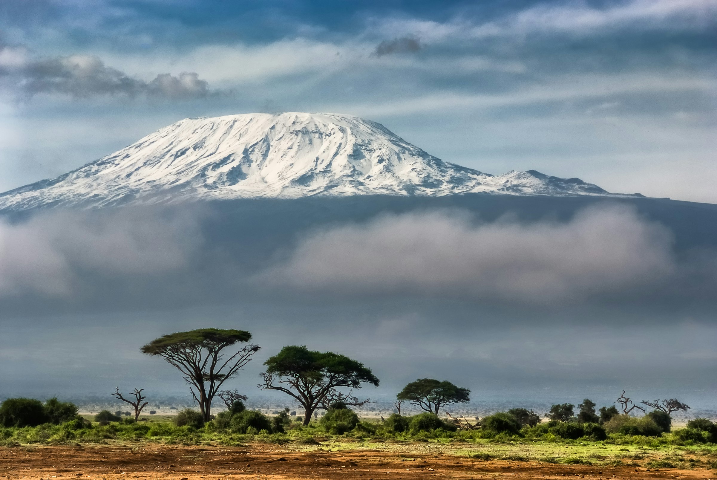 Kilimanjaro summit at dawn
